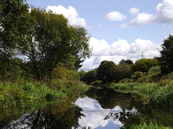 Cromwell Bottom Nature Reserve